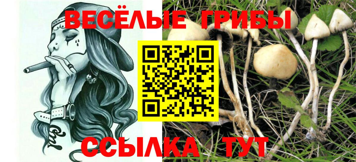 Cocaine  Марихуана  Вход с VPN  ГАШИШ  Сокол  Меф МЯУ МЯУ  