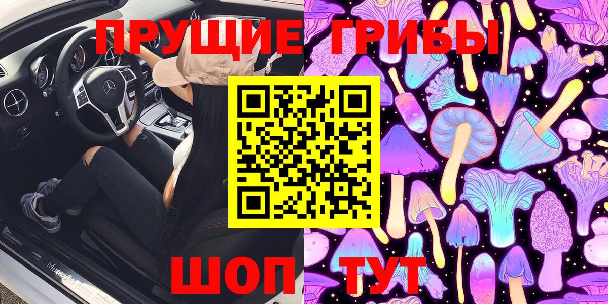 Сокол  Псилоцибиновые грибы Psilocybine cubensis  Вход с VPN  Псилоцибиновые грибы мухоморы 